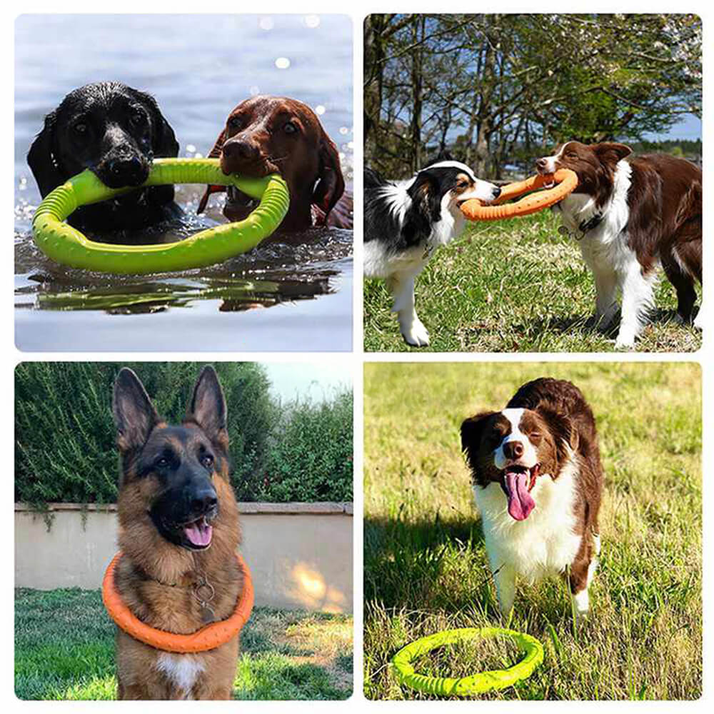 War Ring Durable Waterproof Lightweight Flexible Interactive Dog Toy - News Pet Shop