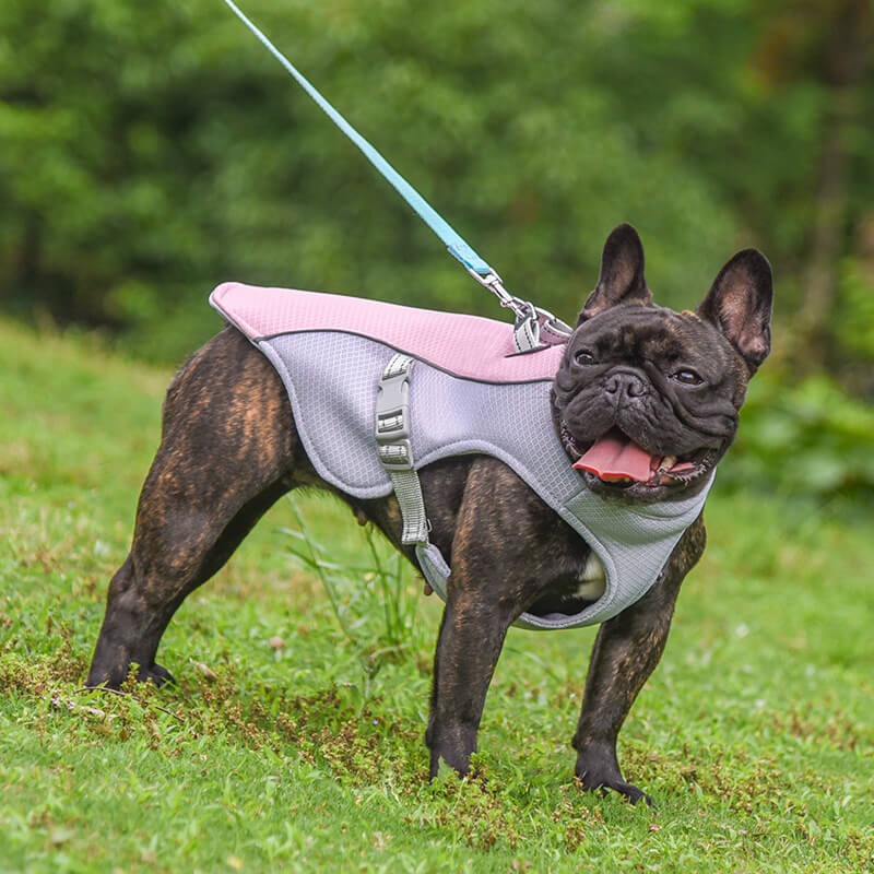 Breathable Vest For Sunstroke Prevention Water-soakable Dog Cooling Vest - News Pet Shop