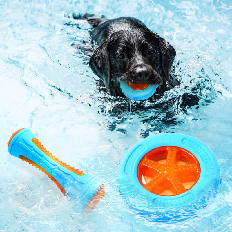 Dog Interactive Chew Toy Outdoor Floating Water Toy - News Pet Shop