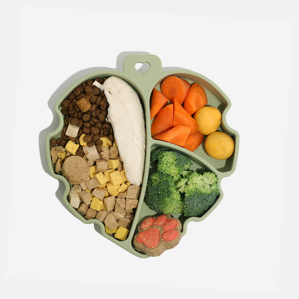 Suction Cup Pet Bowl - Leaf - News Pet Shop