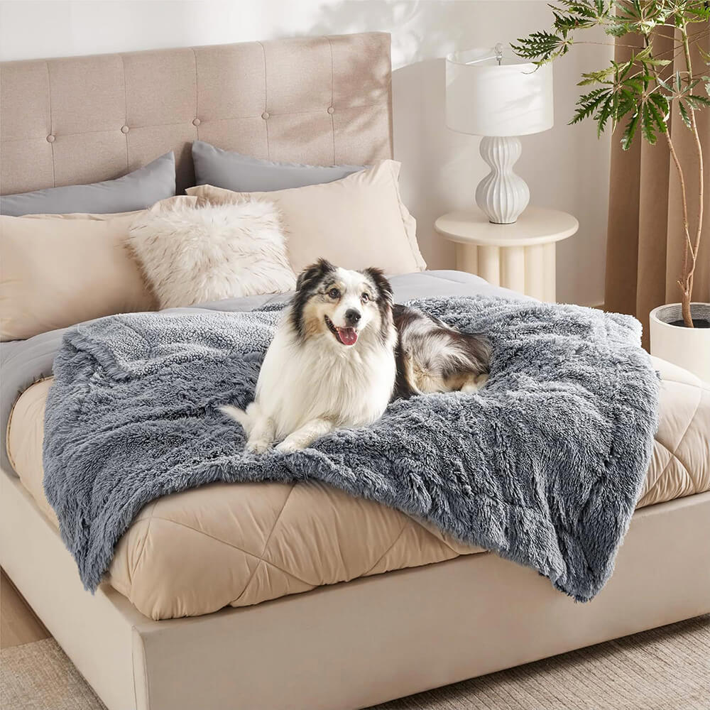 Luxurious Waterproof Plush Warm Multi-Purpose Home Dog Blanket - News Pet Shop