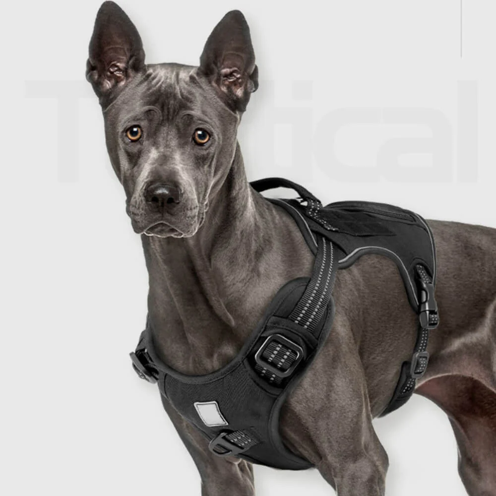 Tactical Heavy No Pull Easy On-Off Dog Harness - News Pet Shop