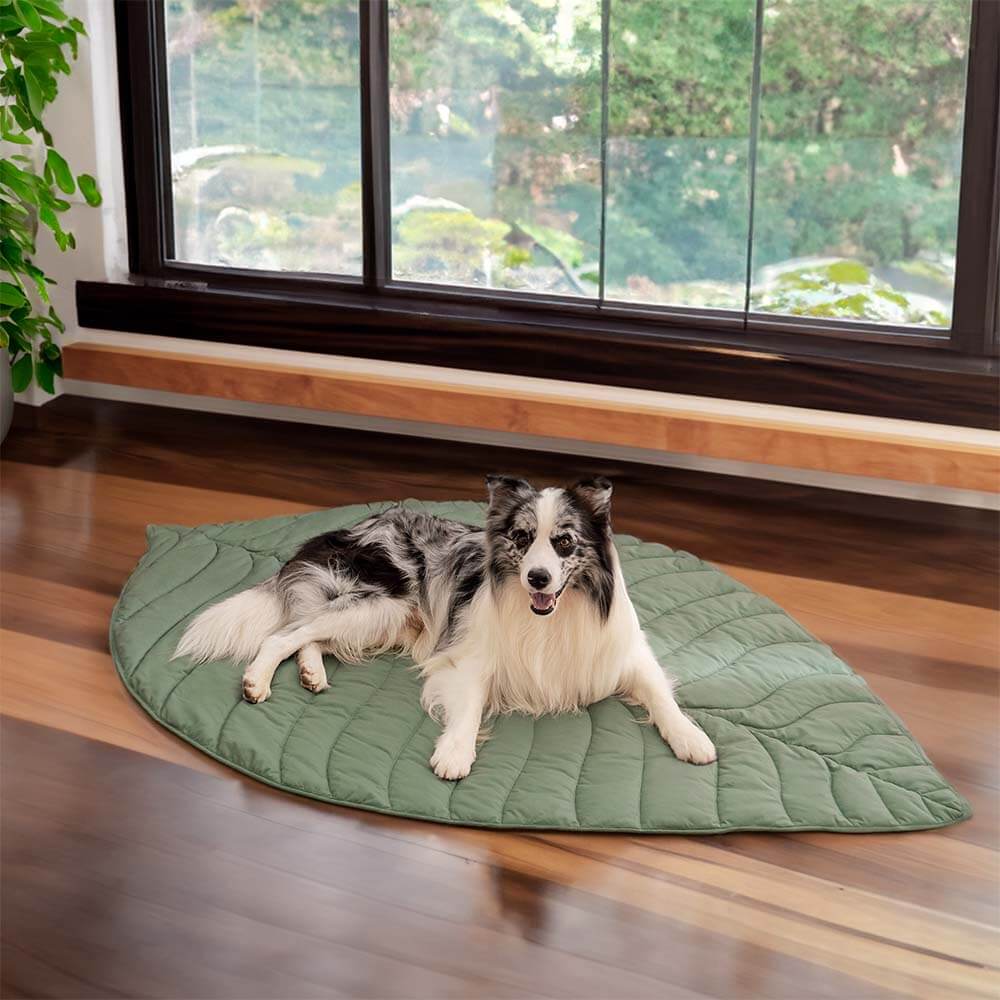 Super Large Leaf Shape Human Mat Dog Blanket - News Pet Shop