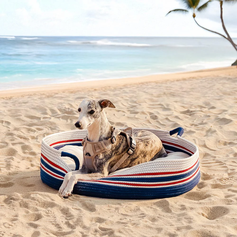 Handcrafted Stripe Calming Pet Bed - Timeless Nest - News Pet Shop