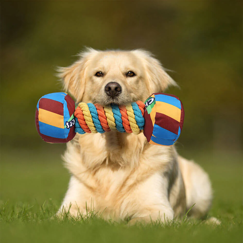 Rainbow Dumbbell Interactive Squeaky Durable Rope Dog Toy - News Pet Shop