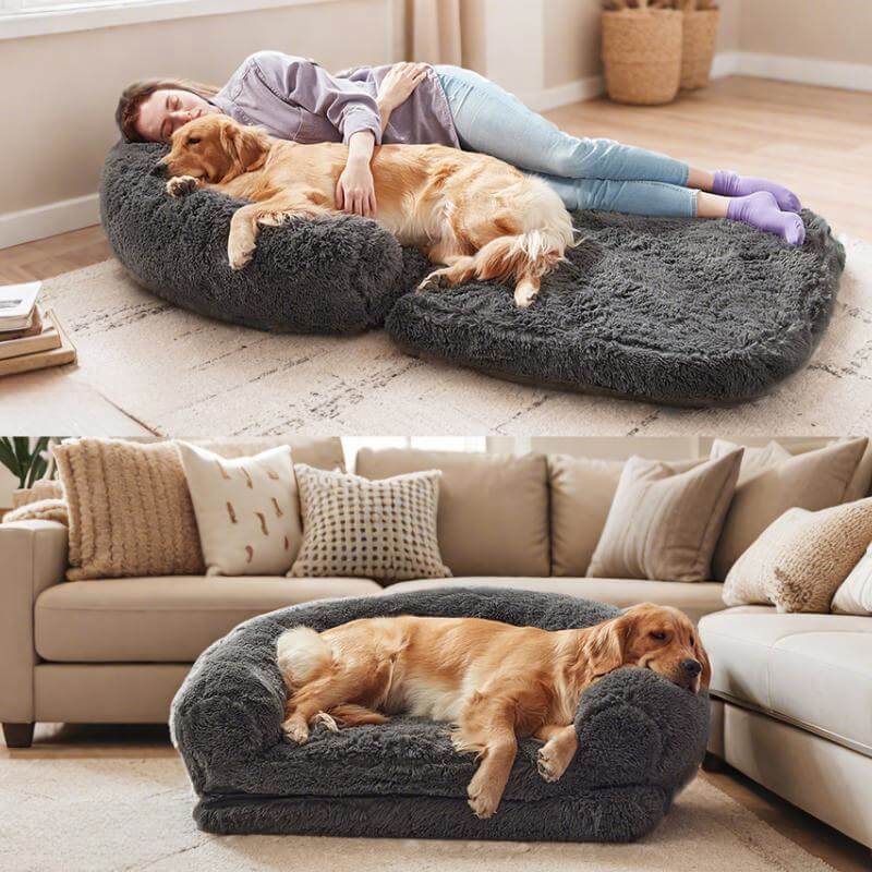 Chic Plush Large Dog Bed Foldable Human Dog Bed - News Pet Shop