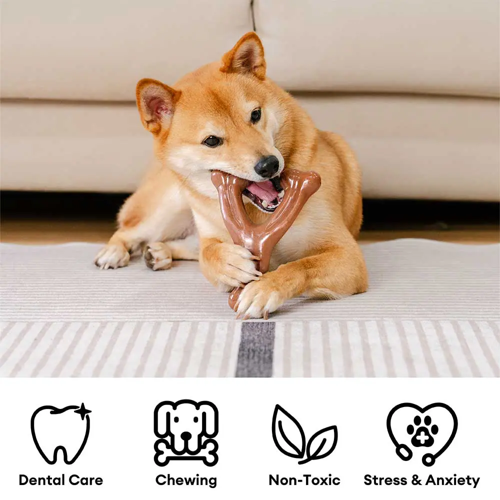 Teething Bones Dog Chew Toy - Bacon-Flavored - News Pet Shop