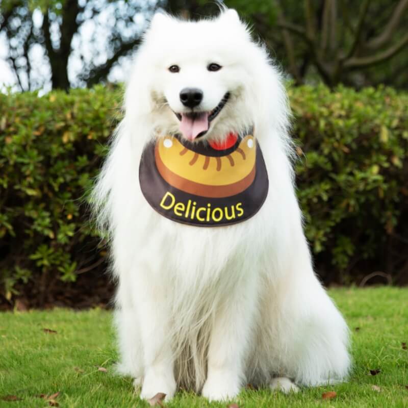 Pet Neckerchief Waterproof Cool Dog Accessories Drool Bib-Sausage - News Pet Shop