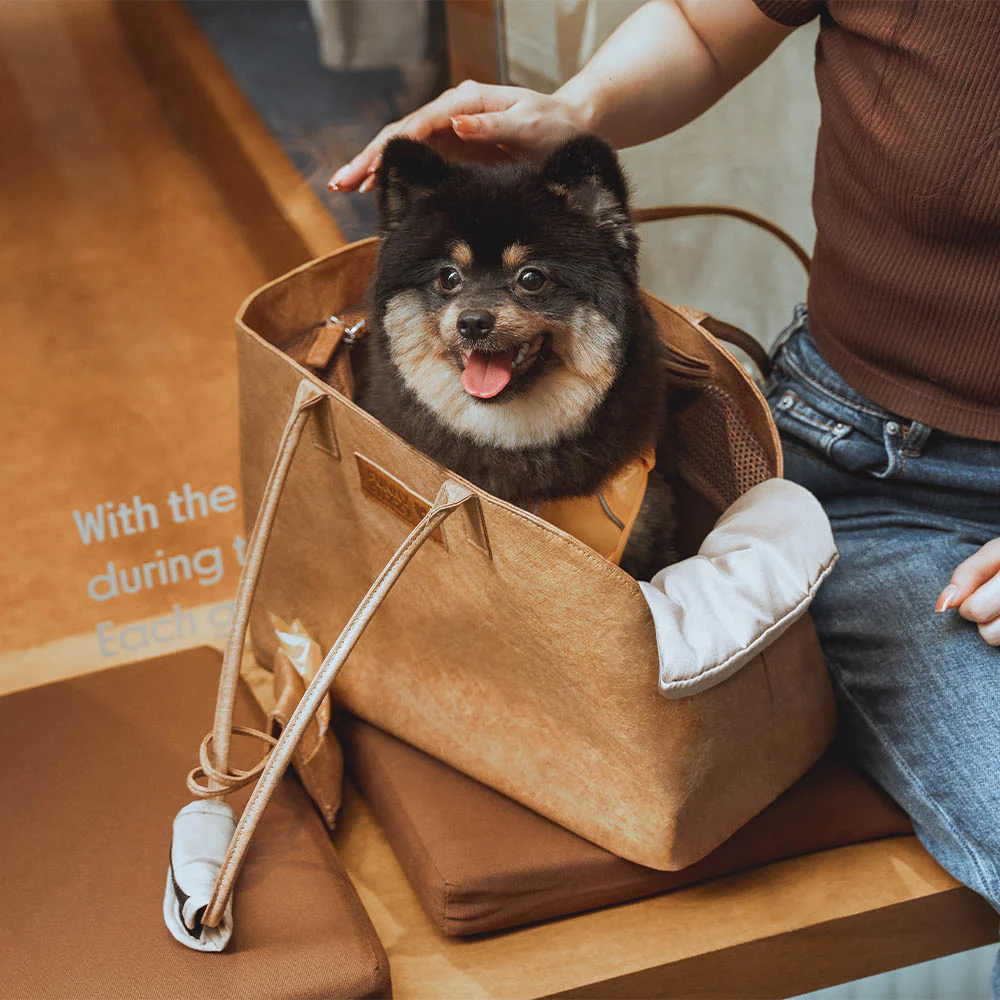 Vogue Eco-friendly Dupont Waterproof Pet Carrier - City Roamer - News Pet Shop