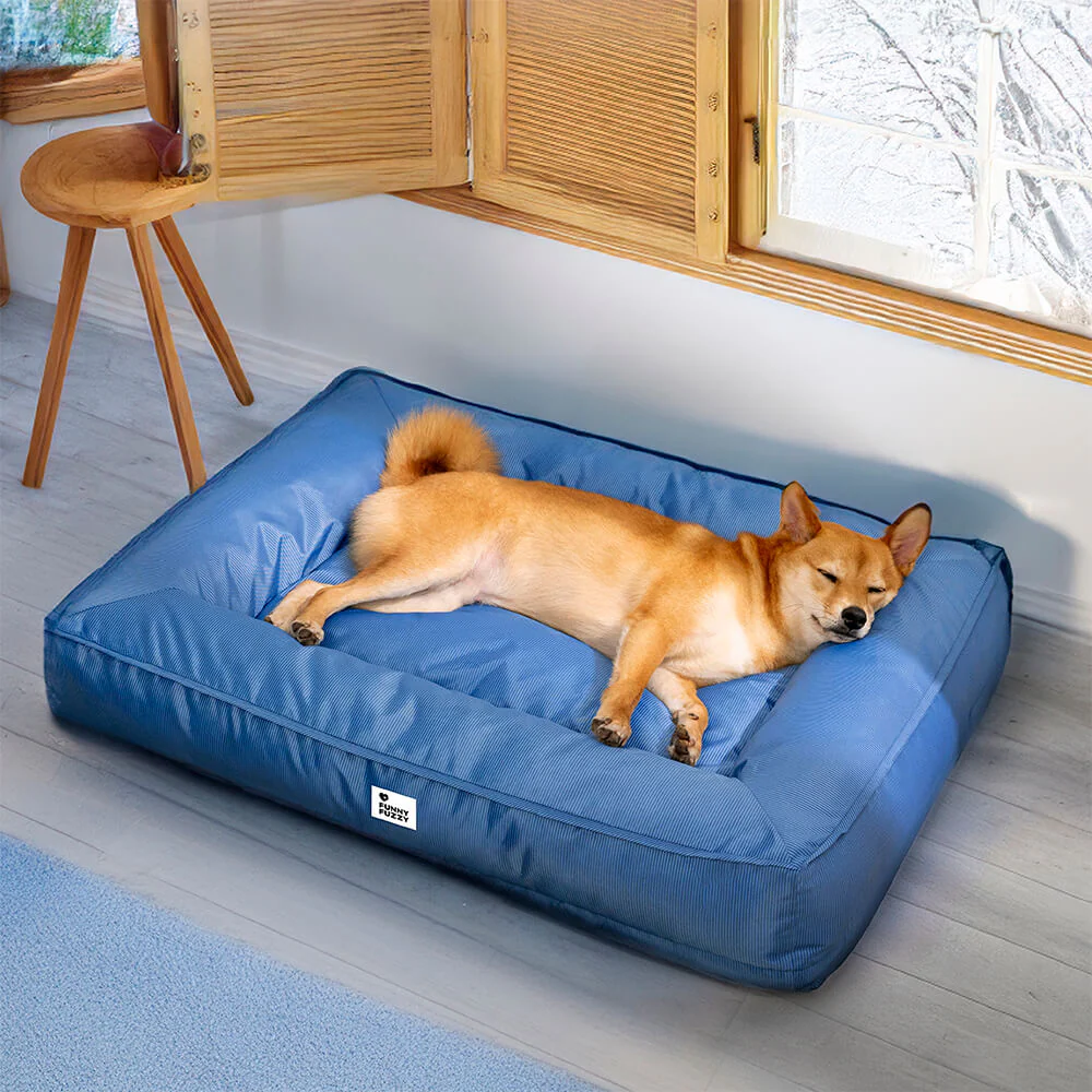 Fully Orthopedic Surround Support Waterproof Large Dog Bed - News Pet Shop