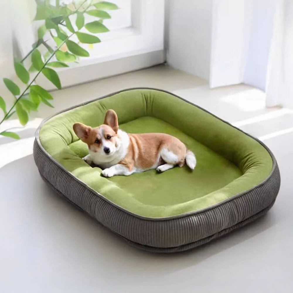 Durable Scratch-Resistant Suede Surface Dog Bed - News Pet Shop