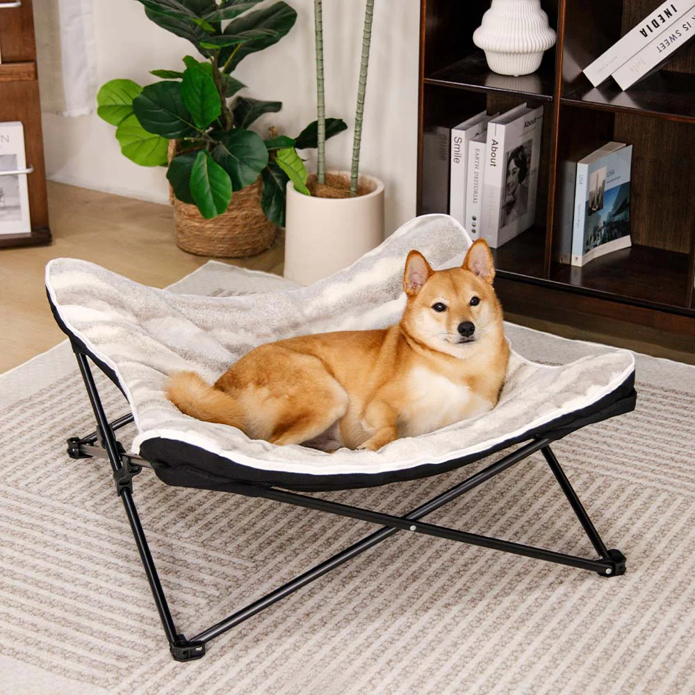 Foldable Elevated Portable Outdoor Camping Dog & Cat Bed - News Pet Shop