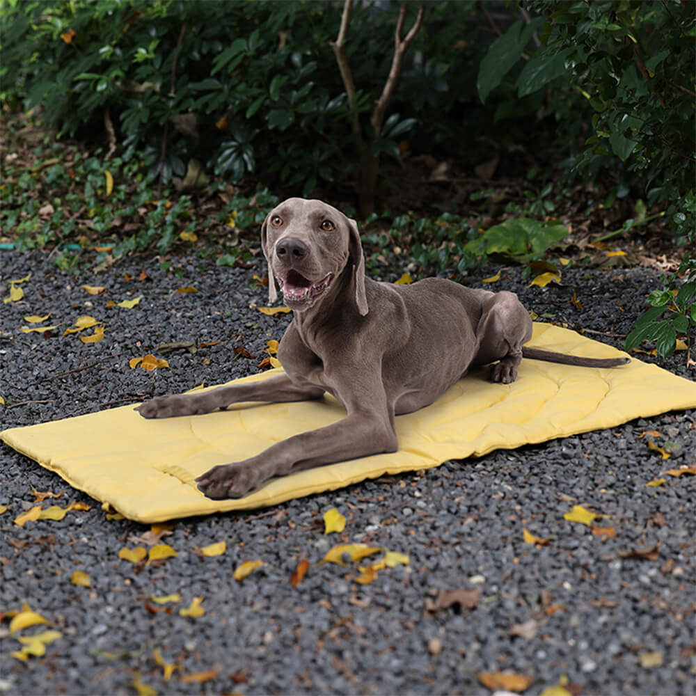 Foldable Waterproof Portable Dog Car Seat Mat Dog Camping Mat - News Pet Shop