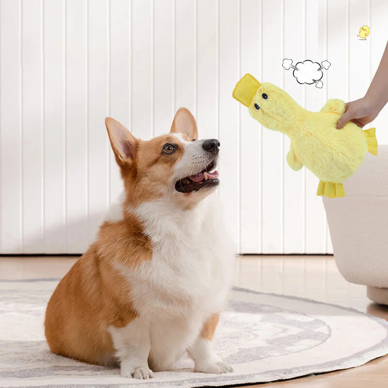 Cute Duck Plush Toy With Squeaker Dog Chew Toy - News Pet Shop