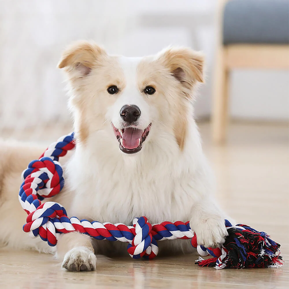 Rope Knot Tug Dog Interactive Toy - News Pet Shop