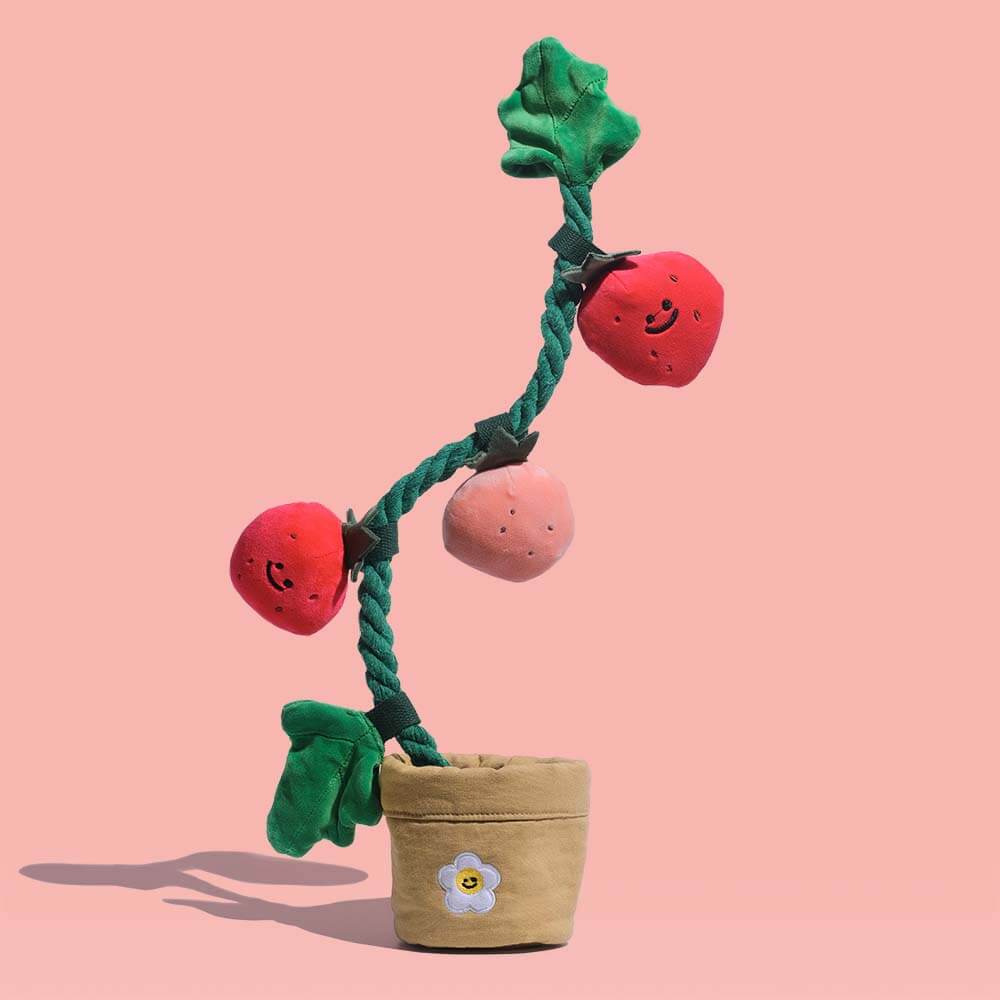 Plush Squeaky Dog Toy - Strawberry Potted - News Pet Shop