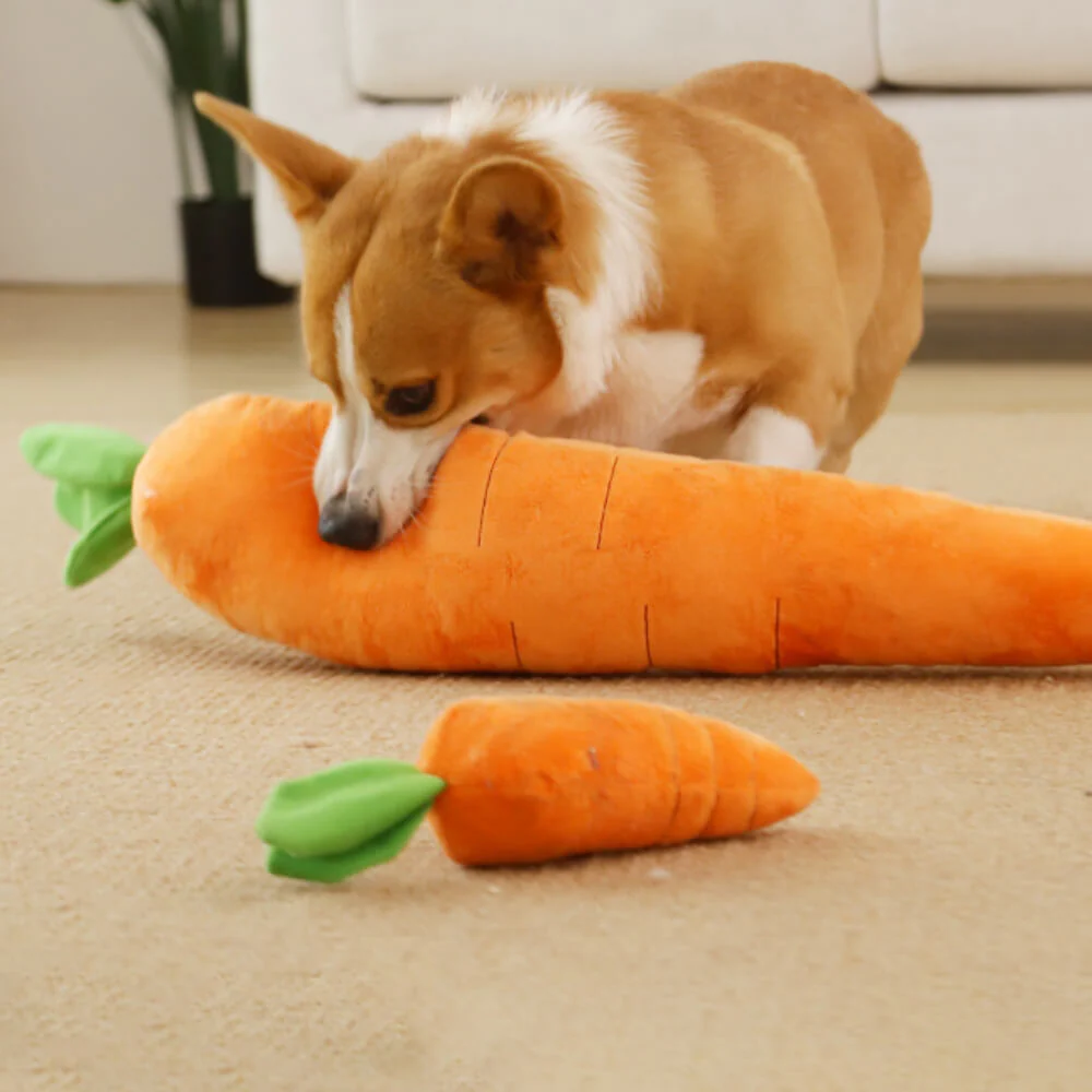Carrot Squeaky Plush Toy Dog Interactive Toy - News Pet Shop