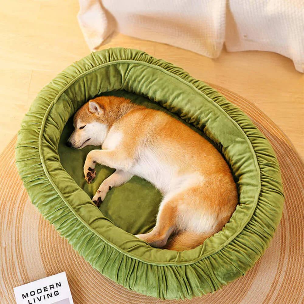 Oval Orthopedic Support Cozy Sleeping Detachable Dog & Cat Bed - News Pet Shop