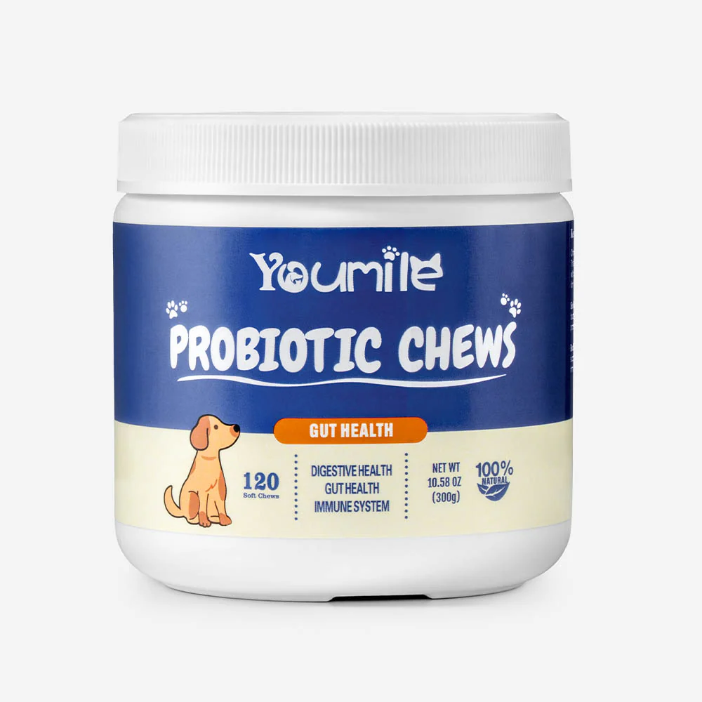 Probiotic Soft Chews for Dogs (120 Count) | Digestive Health & Immune Boost - News Pet Shop