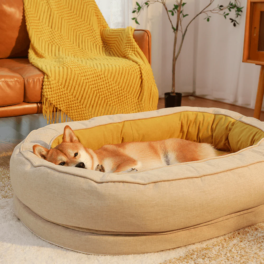 Donut Orthopedic Dog Bed - News Pet Shop