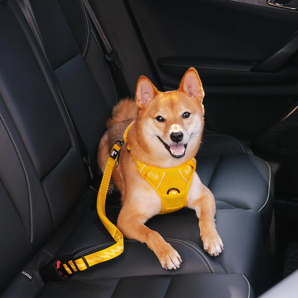 Car Seat Belt Buffer Adjustable Cool Dog Accessories - News Pet Shop