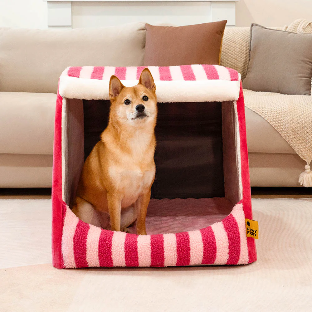 Trendy Striped House Orthopedic Dog Bed - Cozy Hideaway - News Pet Shop