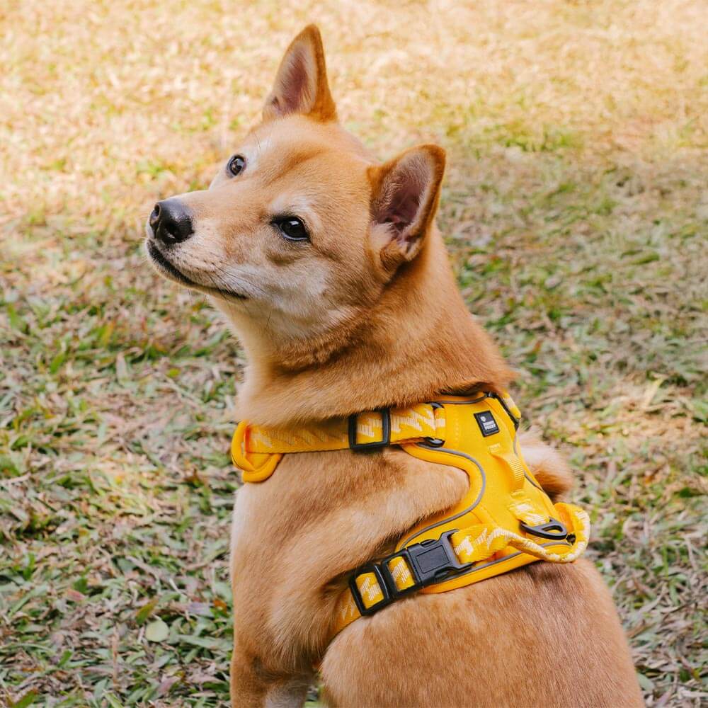 FUNNYFUZZY Reflective Adjustable Outdoor Dog Harness - Flexi Walker - News Pet Shop