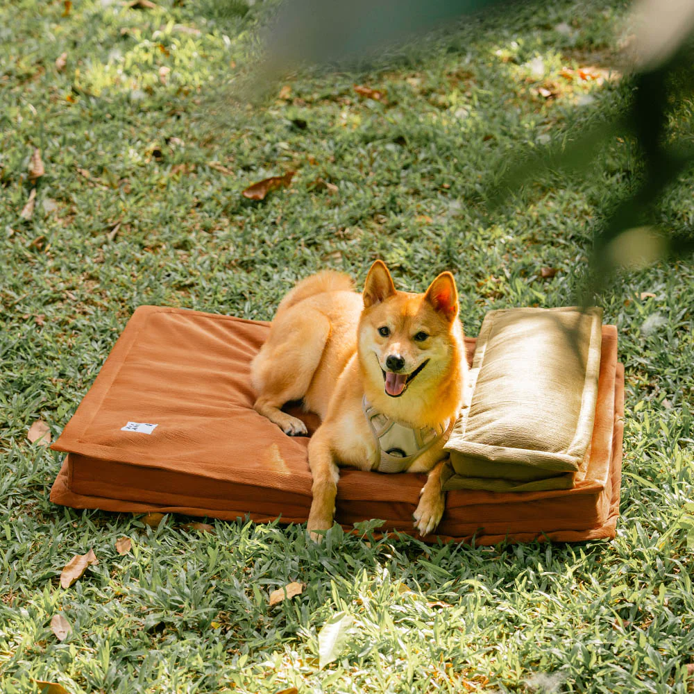 Anti-Anxiety with Sponge Support Deep Sleeping Dog Bed - News Pet Shop