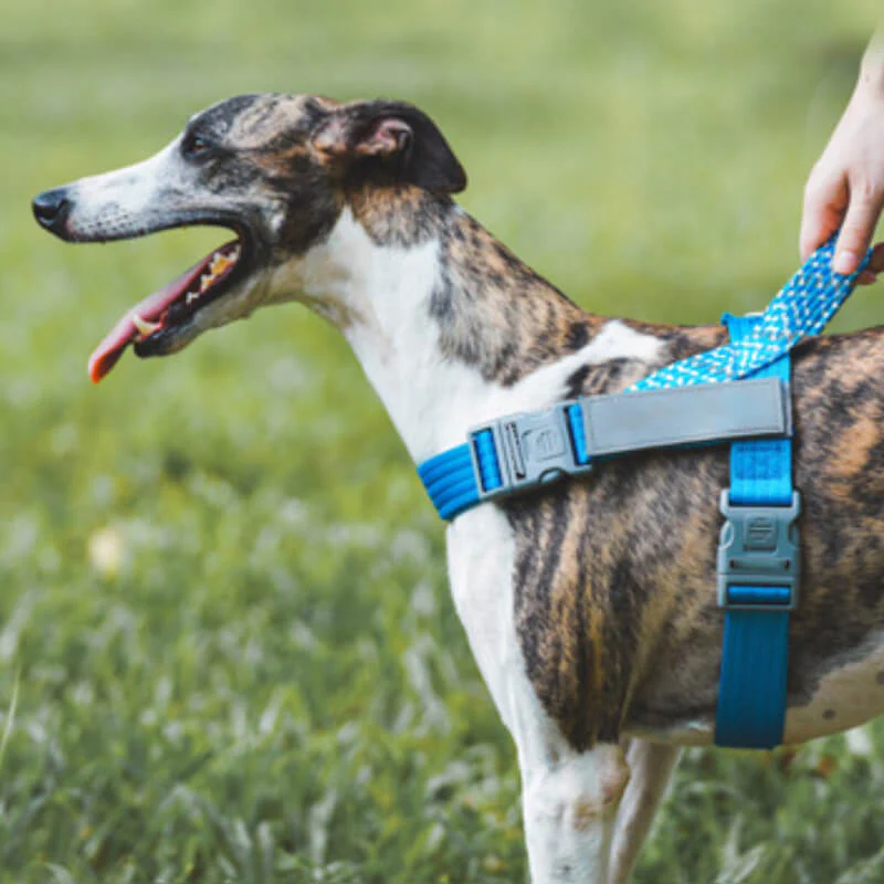 Reflective Buffer Anti Pull Large Dog Harness For Trunk - News Pet Shop