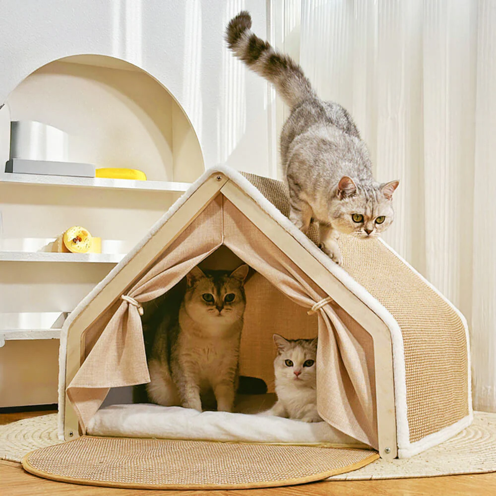 All-in-One Cat Tent with Scratching Roof and Cozy Sleeping Area - News Pet Shop