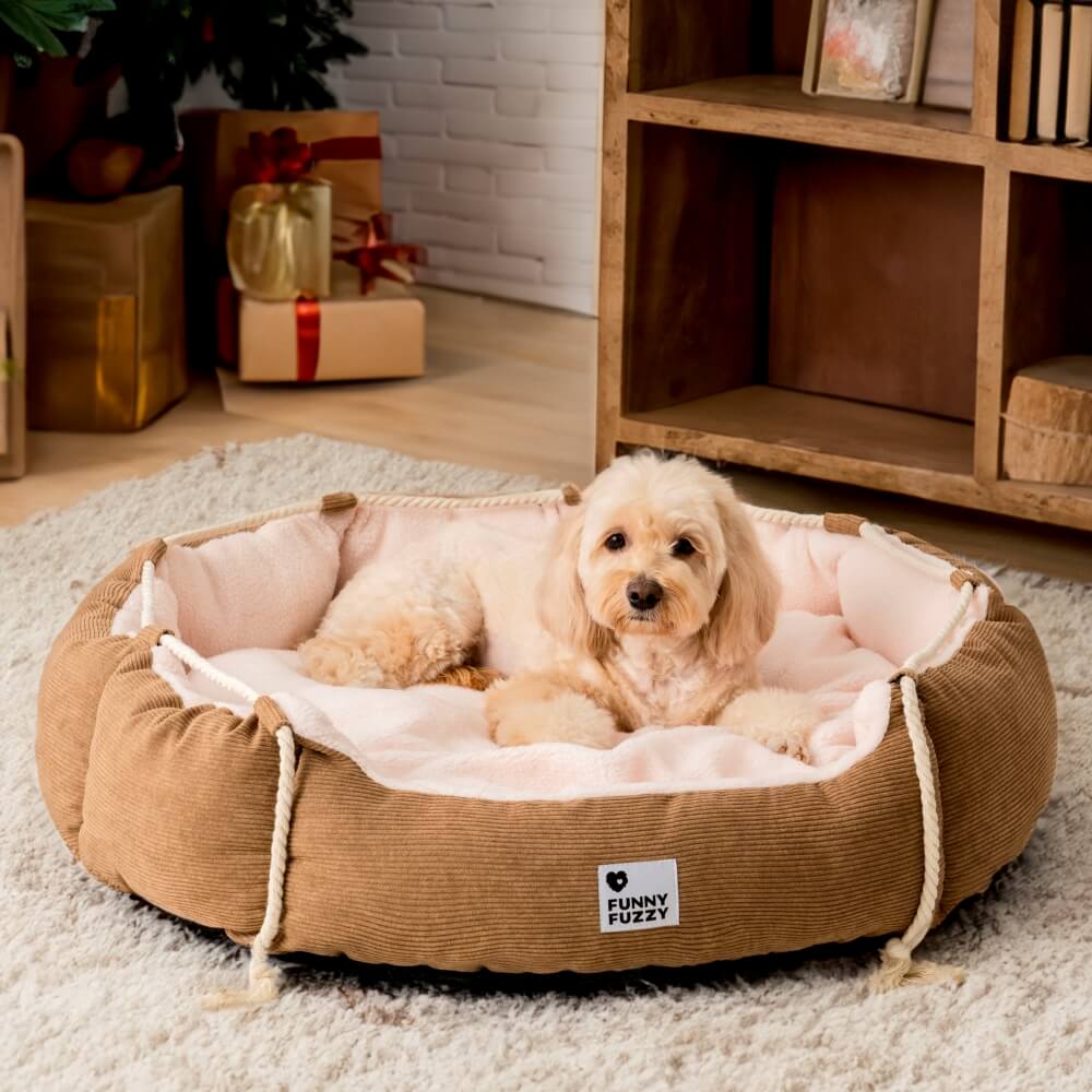 Playful Pull Rope Pet Bed Adjustable Chew-Resistant Dog & Cat Bed - News Pet Shop