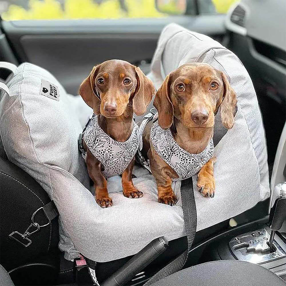 Dog Car Seat Bed - First Class - News Pet Shop