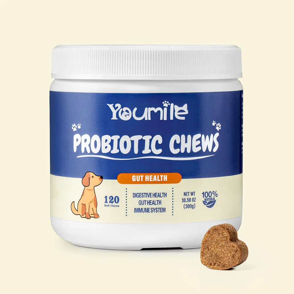 Probiotic Soft Chews for Dogs (120 Count) | Digestive Health & Immune Boost - News Pet Shop