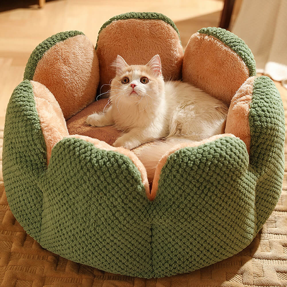 Cactus Shape Comfy Pet Bed - News Pet Shop