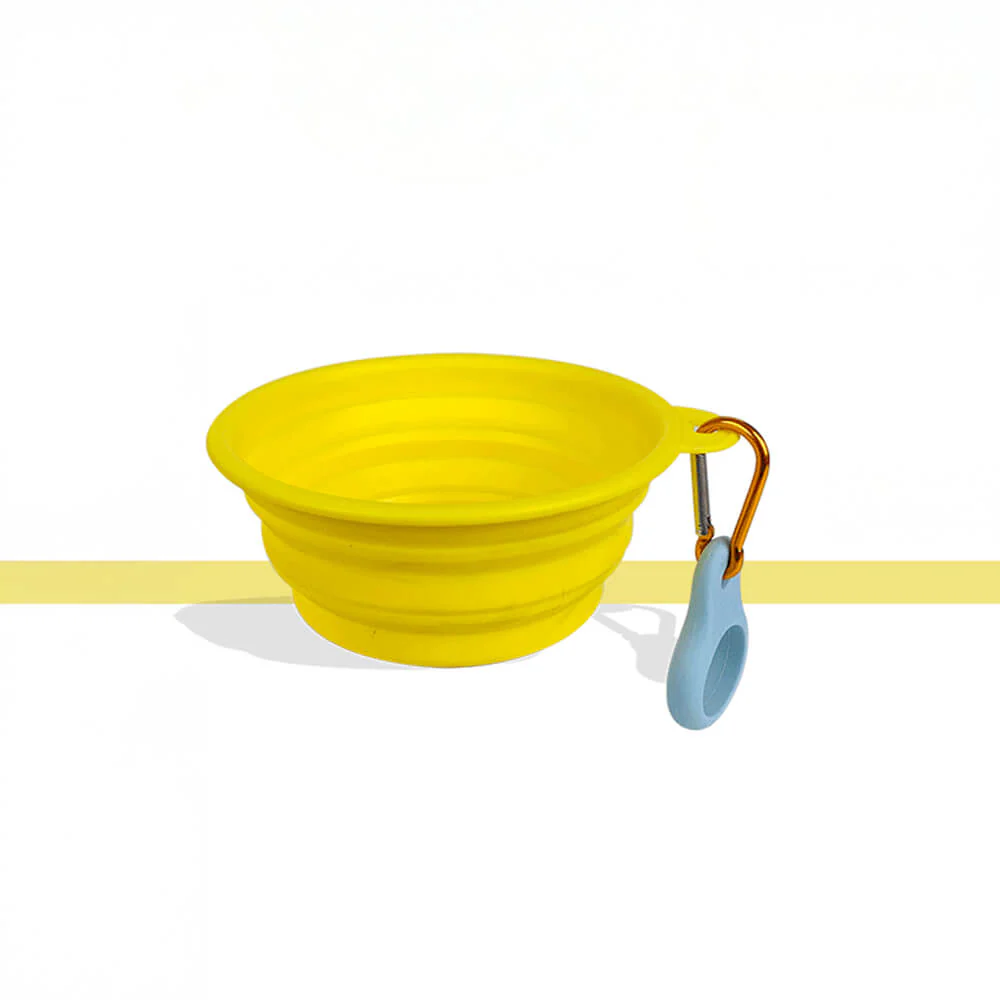 Portable Foldable Expandable Silicone Dog Food & Water Bowl - News Pet Shop