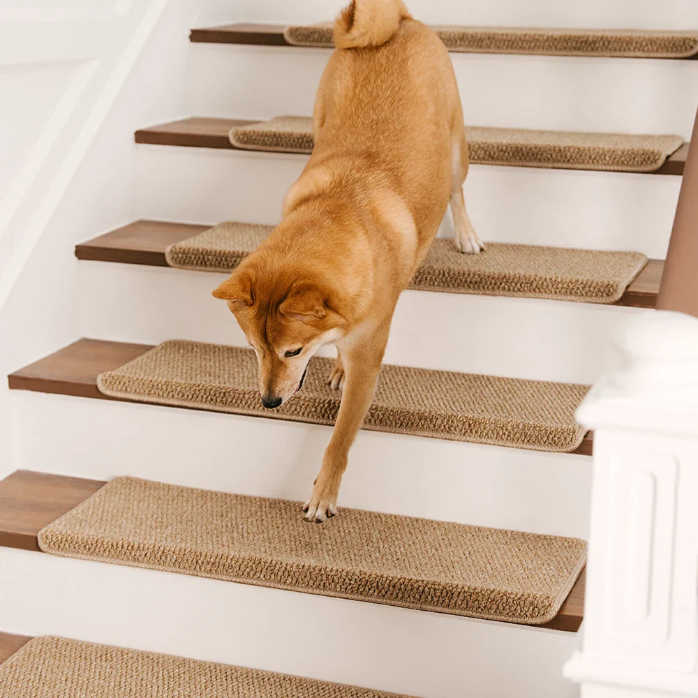 Anti-scratch Faux Sisal Stair Protectors Tape Free Washable Carpet Stair Treads - News Pet Shop