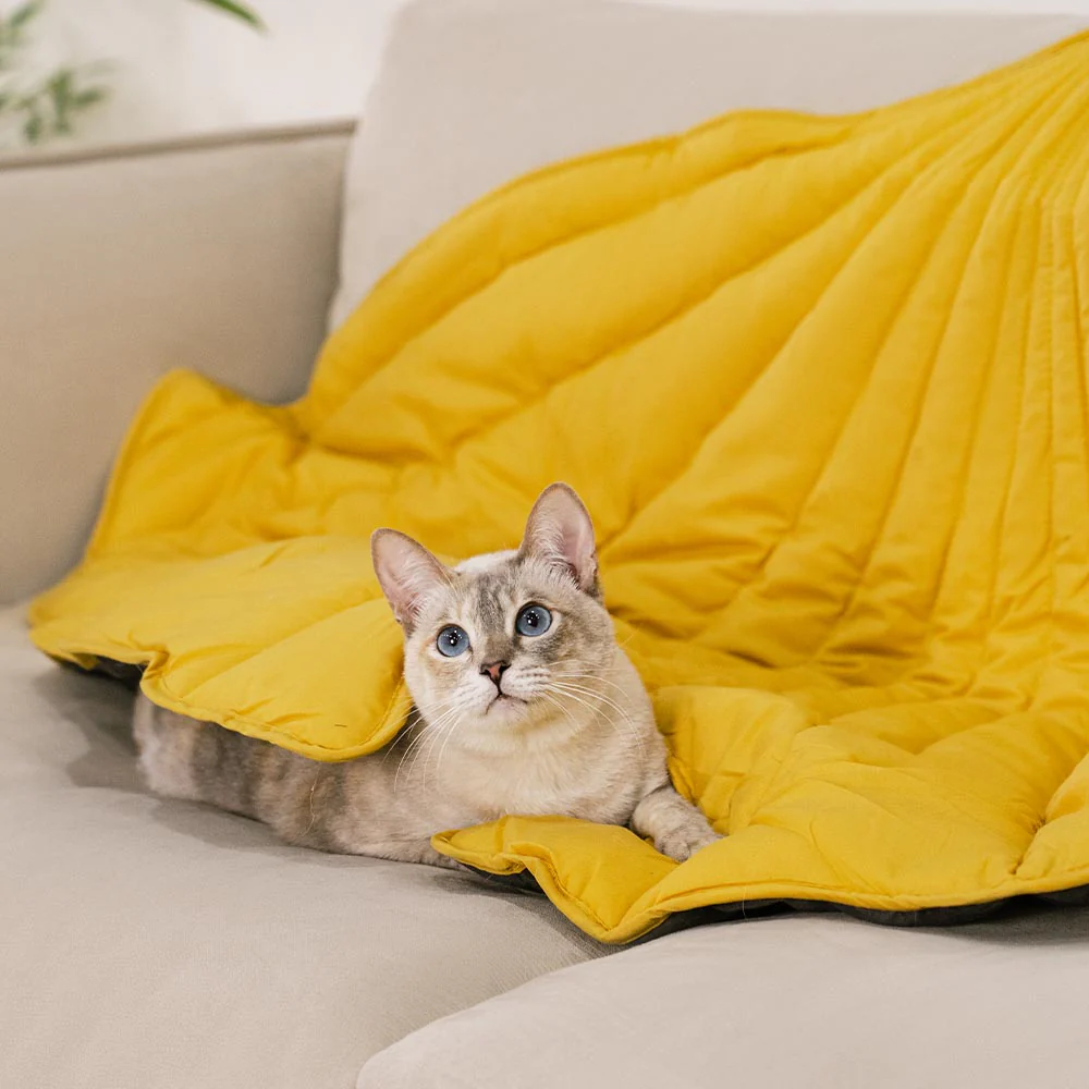 All-Season Washable Throw Furniture Protector Cat Bed Blankets - News Pet Shop