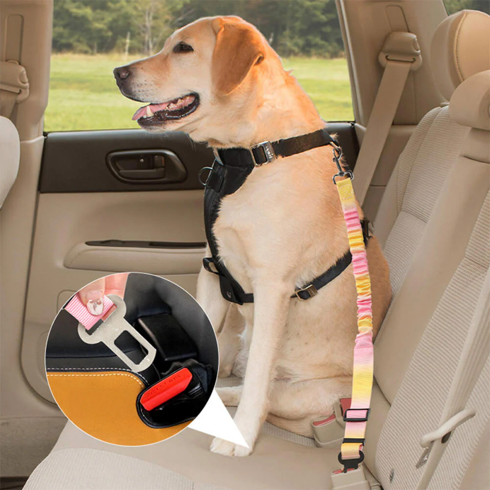 Gradient Elastic Shock-Absorbing Pet Car Safety Belt - News Pet Shop