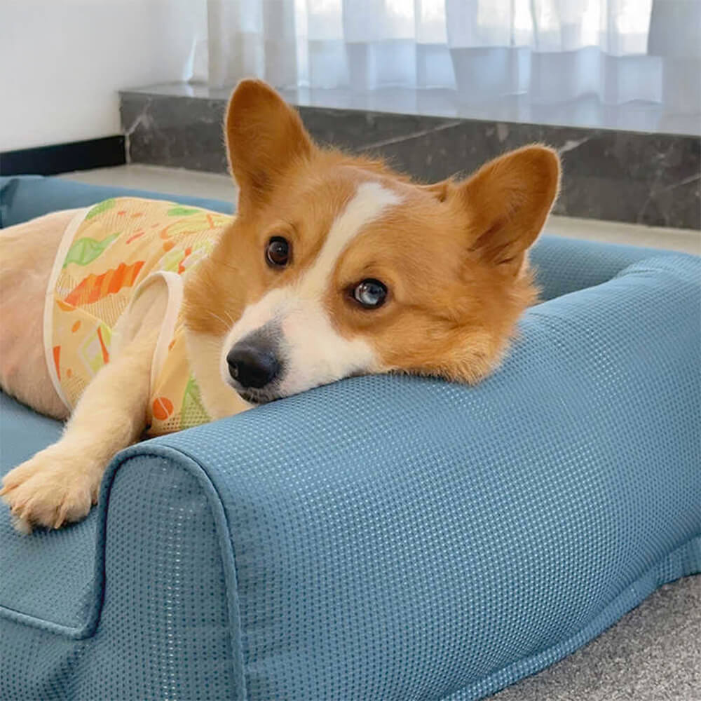 Waterproof Oxford Removable Washable Bolster Dog Sofa Bed - News Pet Shop