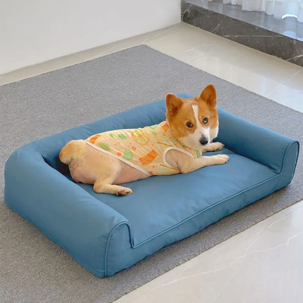 Waterproof Oxford Removable Washable Bolster Dog Sofa Bed - News Pet Shop