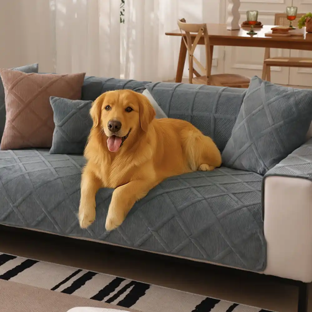 Velvety Soft Short Plush Modern Interiors Couch Cover - News Pet Shop