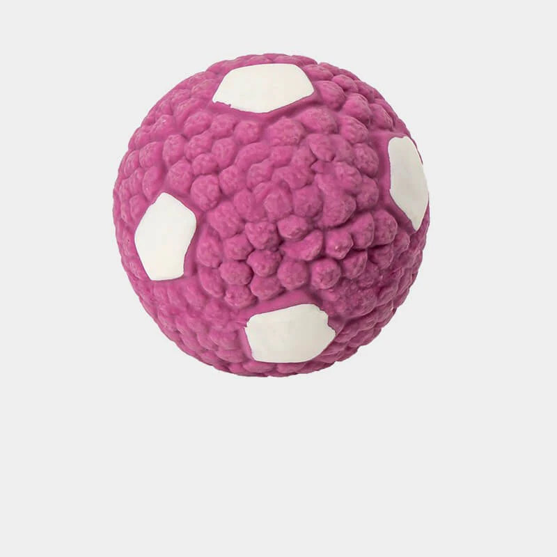 Pet Latex Squeaky Ball Toy Durable Interactive Dog Chew Toy - News Pet Shop