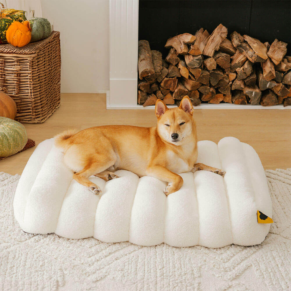 Large Washable Creamy Cozy Flat Dog Beds - Cheesecake - News Pet Shop