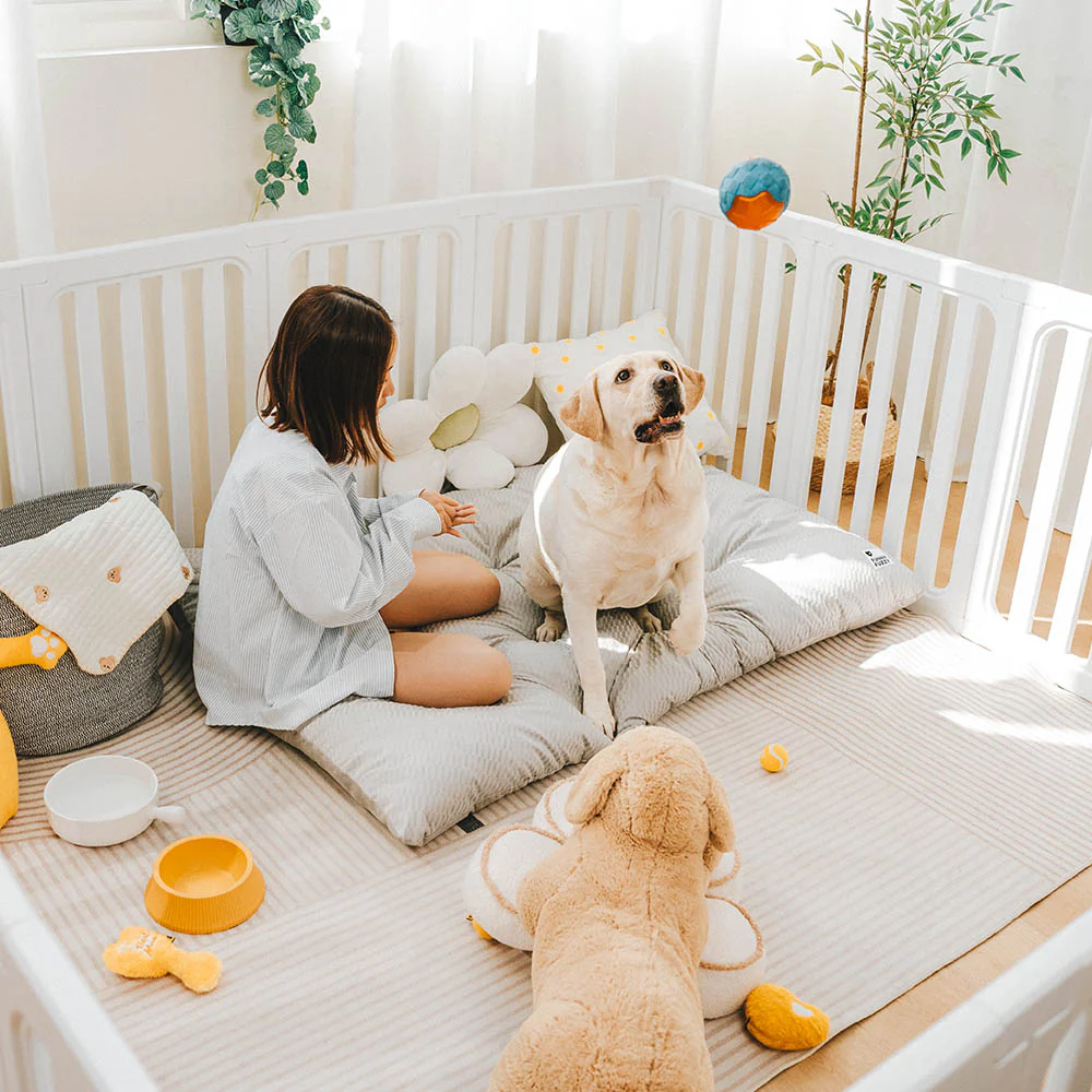 Dual-Sided Cozy Plush Washable Calming Dog Mat - News Pet Shop