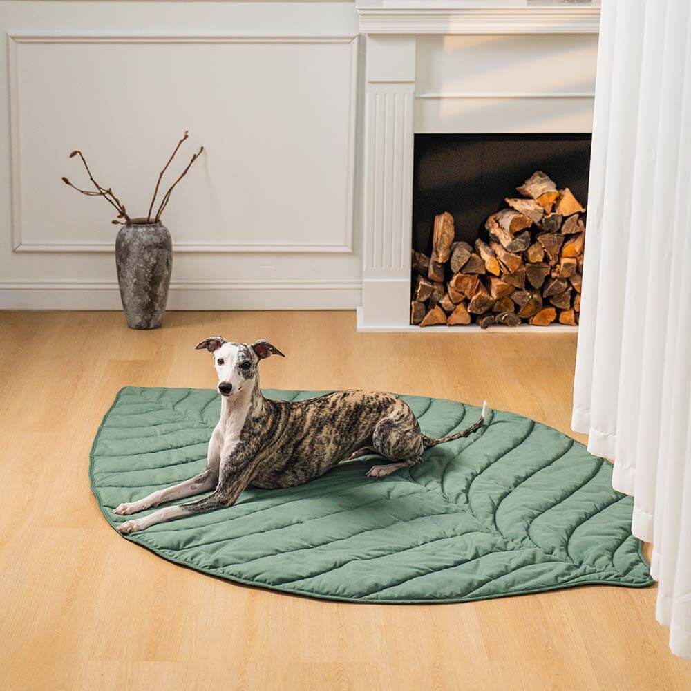 Super Large Leaf Shape Human Mat Dog Blanket - News Pet Shop