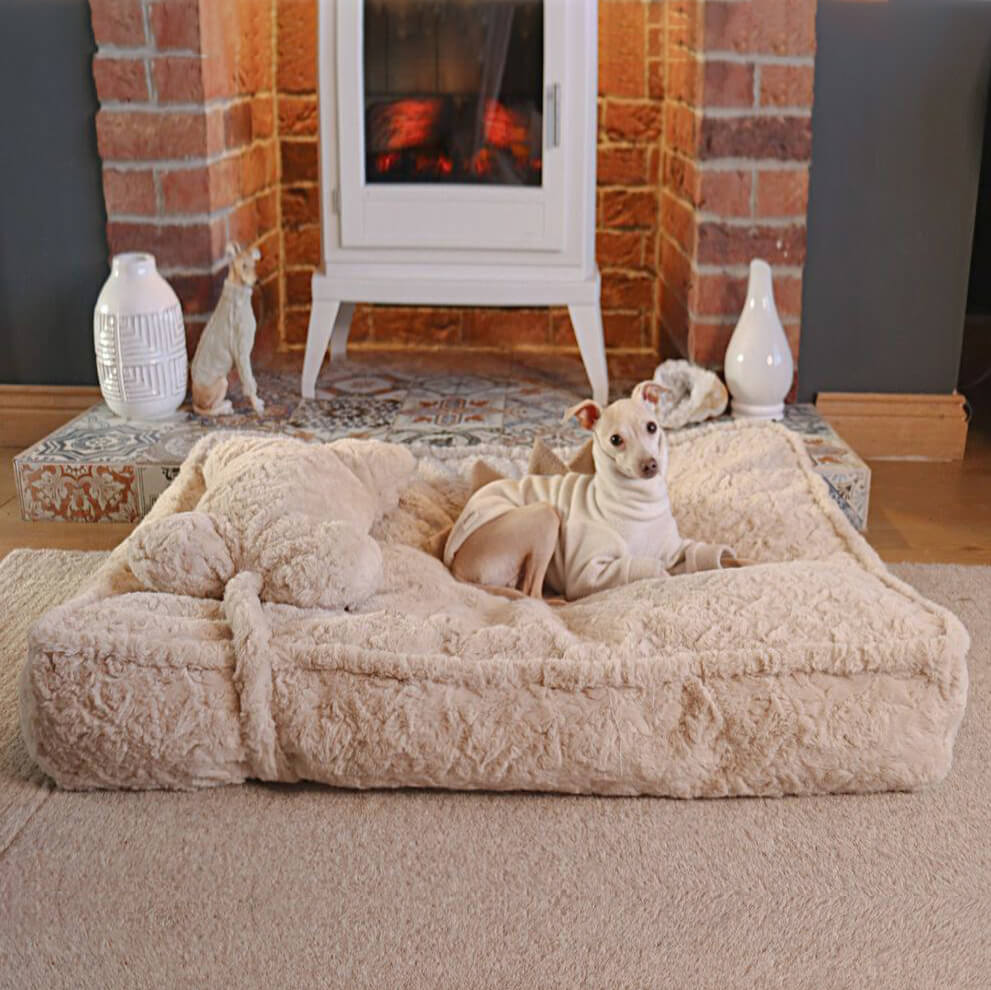 Warming Fluffy Bone Cloud Shape Calming Dog Bed - News Pet Shop
