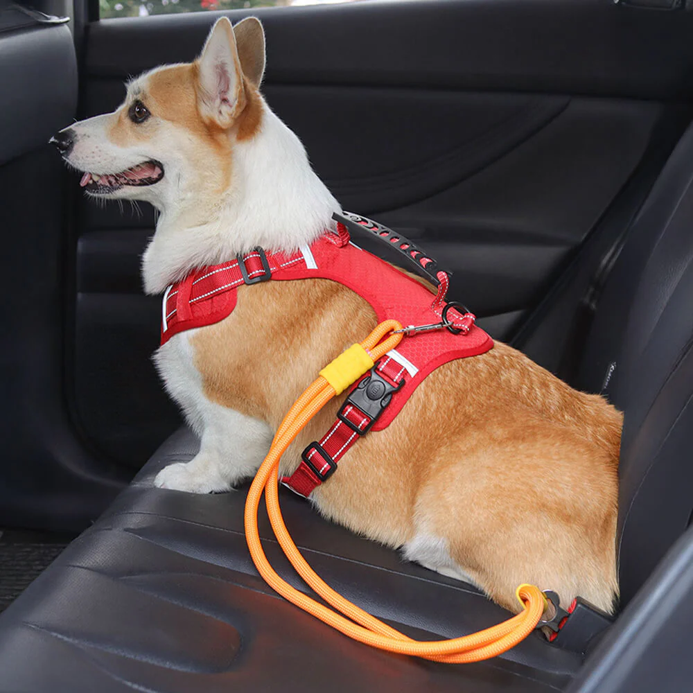 Anti-pull Nylon Dog Car Seat Safety Belt - News Pet Shop