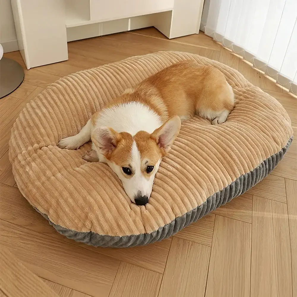 Warm And Comfortable Removable Washable Pet Sleeping Mat And Pet Bed - News Pet Shop