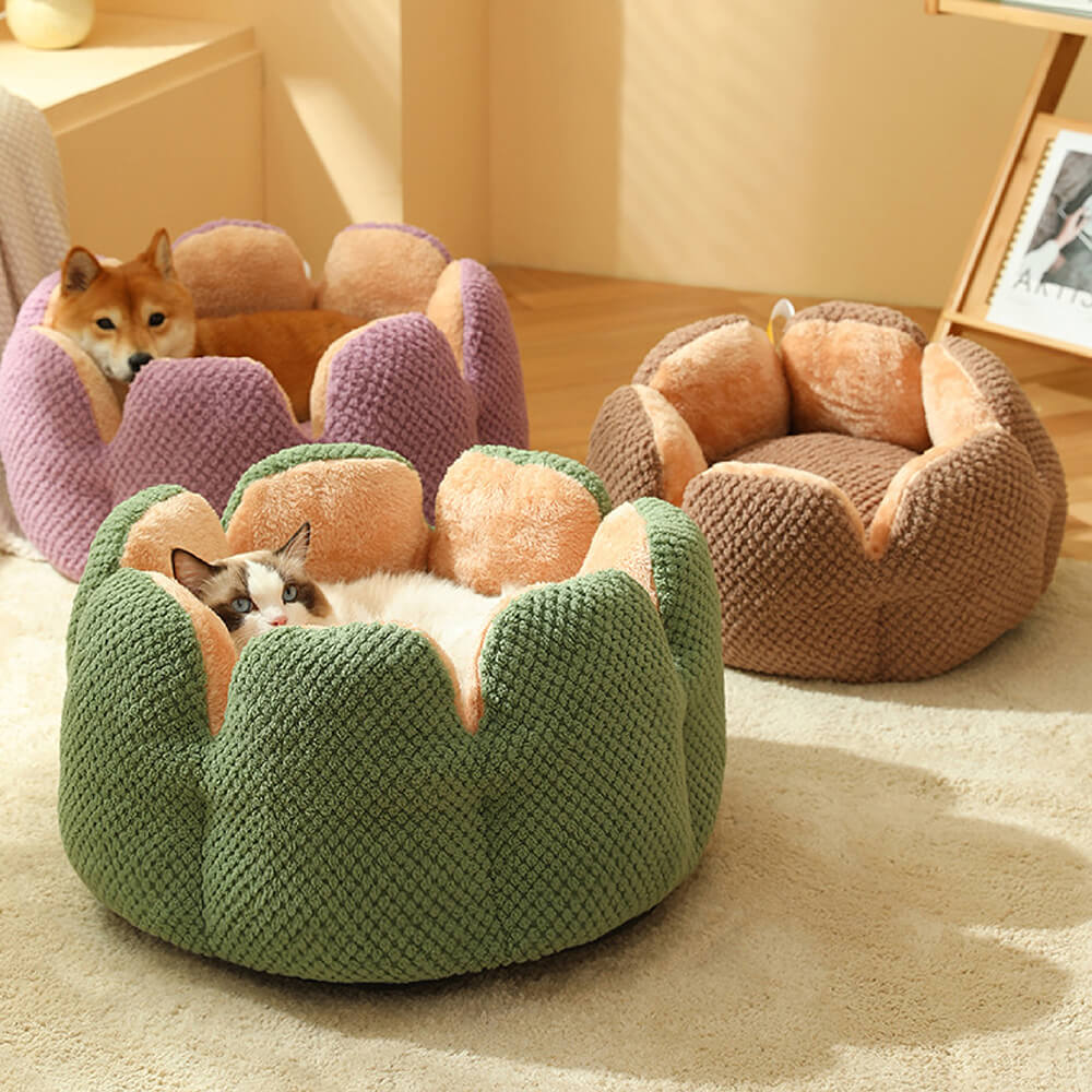 Cactus Shape Comfy Pet Bed - News Pet Shop
