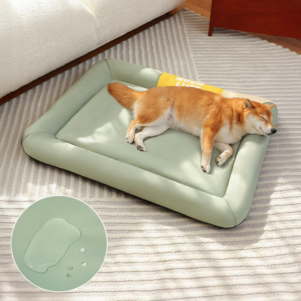 Colorblock Waterproof Scratch-Resistant All-Season Dog Mat - News Pet Shop